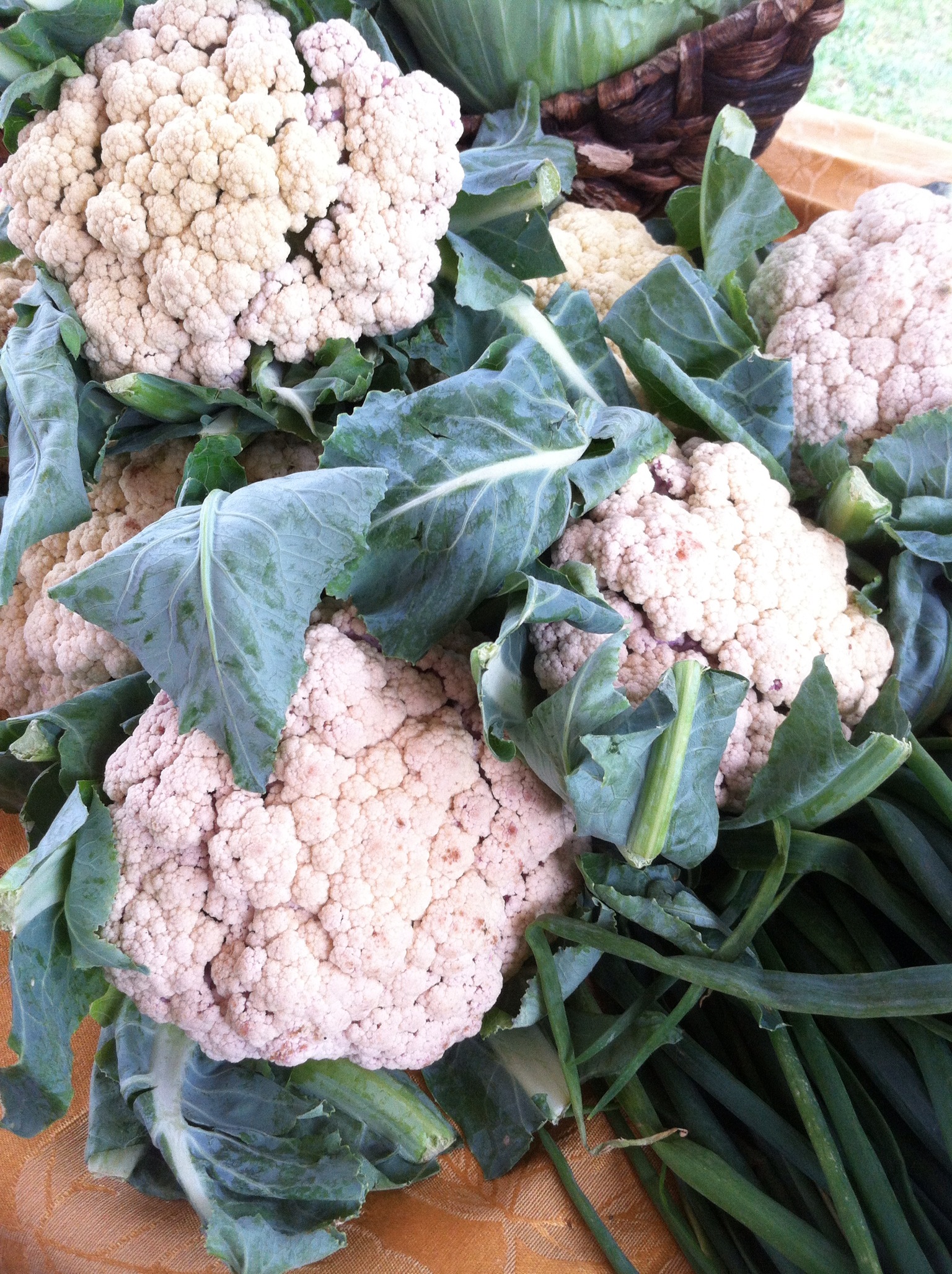 Cauliflower Is Coming In